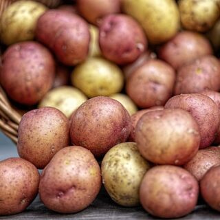 Zapiekanka z ziemniakami, boczkiem i serem - przepis krok po kroku - Twój przepis Najlepsze przepisy w internecie - 6